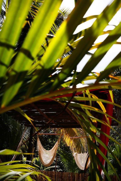 Casa Selva De Luz Lejlighed Tulum Eksteriør billede