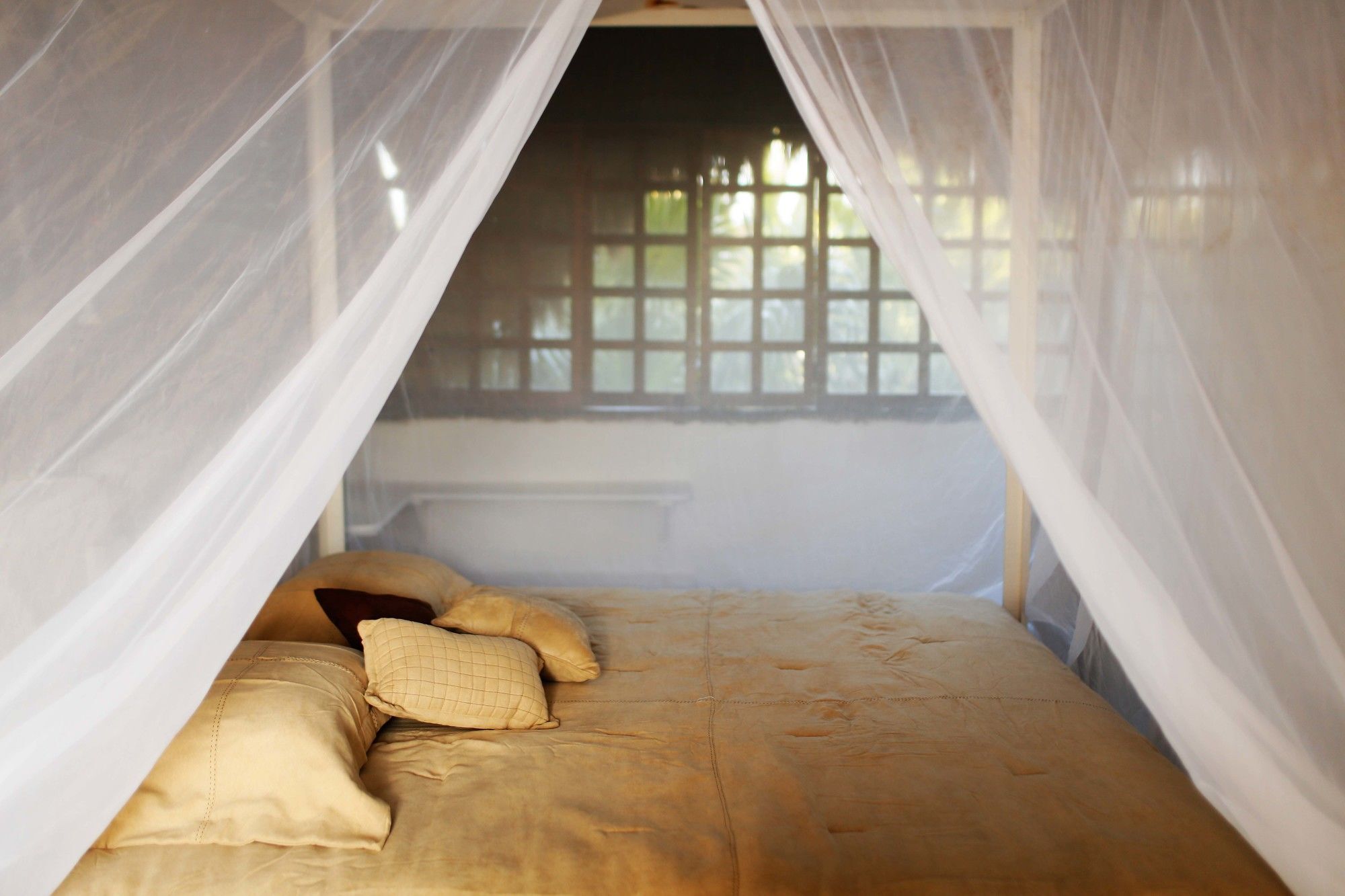 Casa Selva De Luz Lejlighed Tulum Eksteriør billede